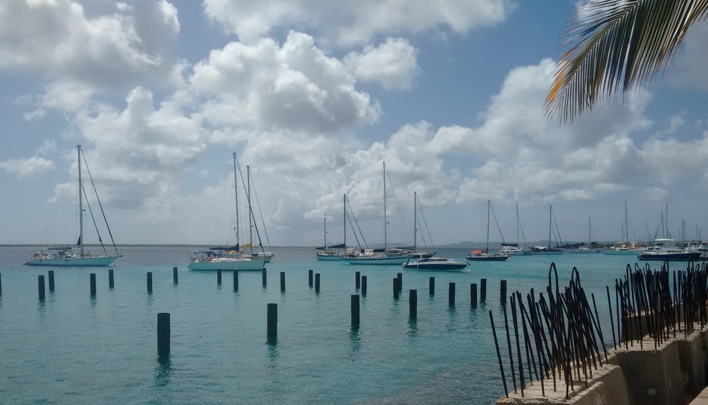 01_Zeezwaluw_aan_de_mooring