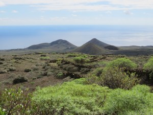 028b El Pinar-Restinga