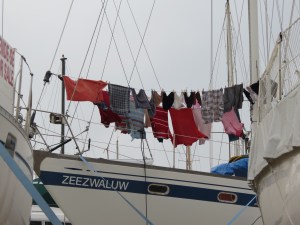 Faro, was aan de lijn