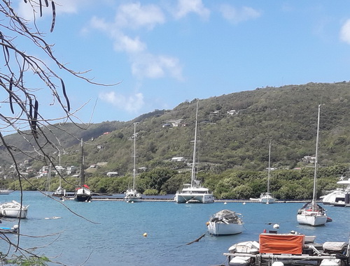 05-steiger Marinique