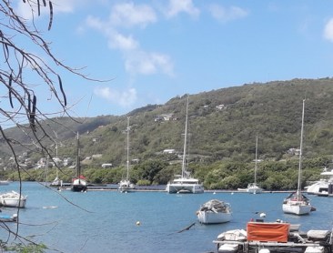 05-steiger Marinique